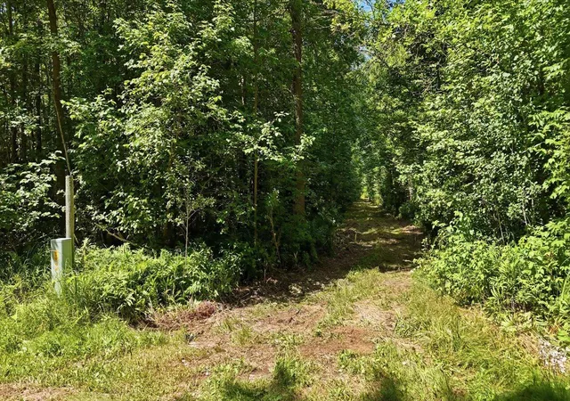 Photo 13 of Land for sale at Tbd Guile Lake Rd, Cohasset, MN 55721 | MLS# 7103294 | Listing updated on 2026-10-01