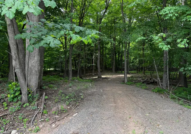 Homes for sale in Balsam Lake, WI | Xxx County Road I, Balsam Lake, WI 54810 | MLS# 7103405