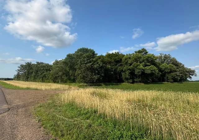 1st image of Xxx 165th Ave Ne, Foley, MN 56329 | MLS# 7103407