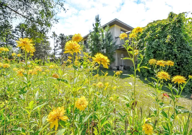 52nd image of 9809 328th St, Saint Joseph, MN 56374 | MLS# 7103442