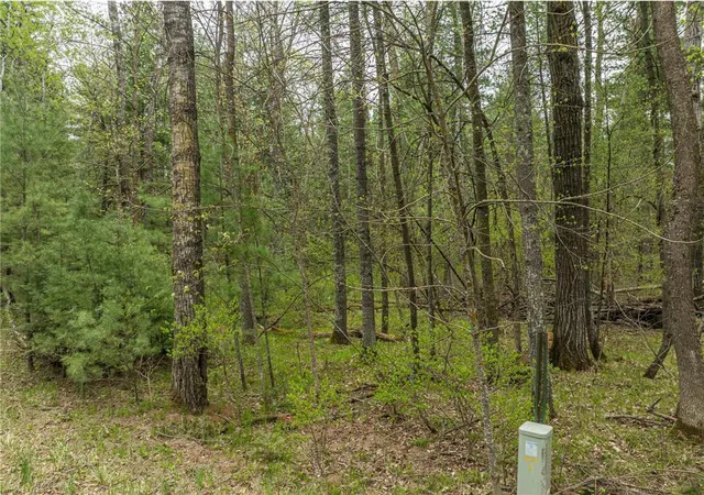 Homes for sale in Nevis, MN | Tbd Chokecherry Dr, Nevis, MN 56467 | MLS# 7103488