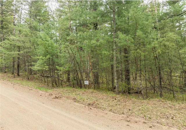 Homes for sale in Nevis, MN | Tbd Chokecherry Dr, Nevis, MN 56467 | MLS# 7103488