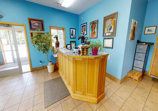 Photo 3 of Single family home for sale at 15647 29th Avenue SE, Blooming Prairie, MN 55917 | MLS# 7103555 | Listing updated on 2026-07-13