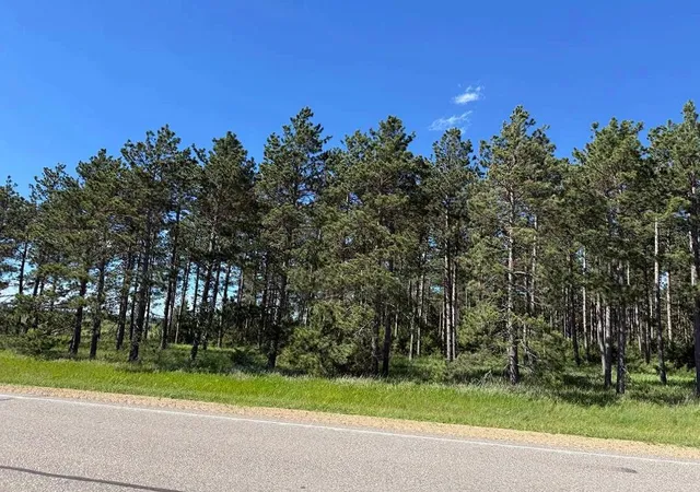 Homes for sale in Park Rapids, MN | Tbd County 48, Park Rapids, MN 56470 | MLS# 7104056