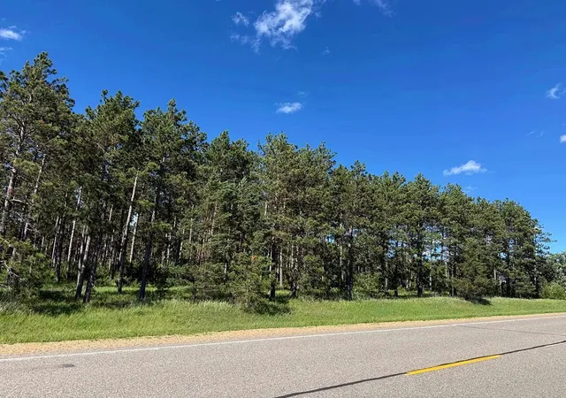 Homes for sale in Park Rapids, MN | Tbd County 48, Park Rapids, MN 56470 | MLS# 7104056