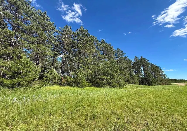 Homes for sale in Park Rapids, MN | Tbd County 48, Park Rapids, MN 56470 | MLS# 7104056