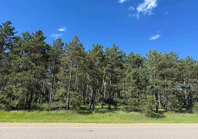 Homes for sale in Park Rapids, MN | Tbd County 48, Park Rapids, MN 56470 | MLS# 7104056