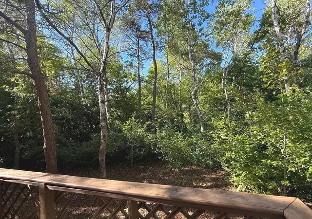 Homes for sale in Park Rapids, MN | 1007 Spruce Ln, Park Rapids, MN 56470 | MLS# 7104119