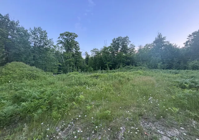 Homes for sale in Laporte, MN | 39987 Cass Line Rd, Laporte, MN 56461 | MLS# 7104200