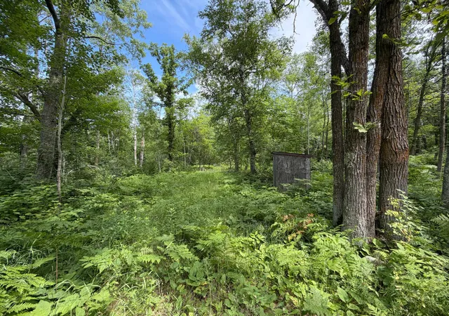 Photo 1 of Land for sale at Tbd County 95, Laporte, MN 56461 | MLS# 7104268 | Listing updated on 2026-08-25