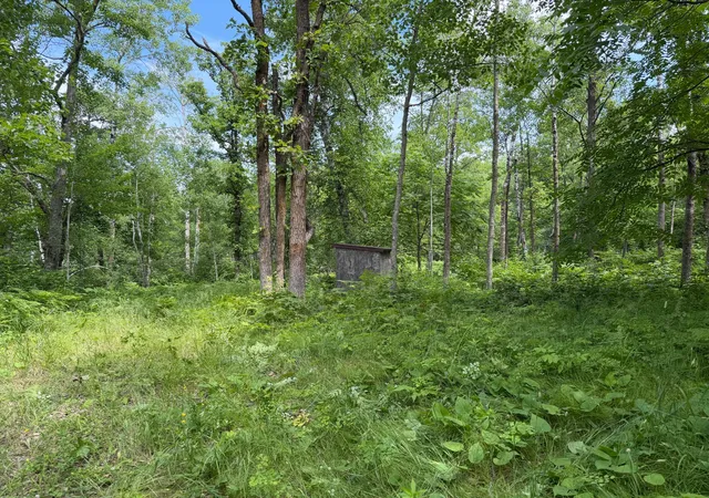 Photo 2 of Land for sale at Tbd County 95, Laporte, MN 56461 | MLS# 7104268 | Listing updated on 2026-08-25