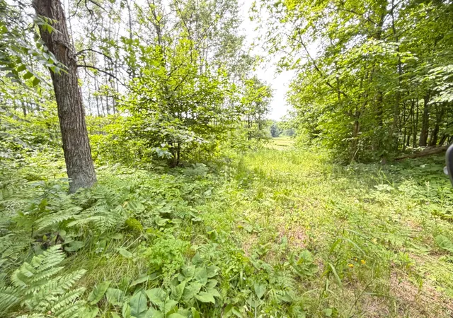 Photo 3 of Land for sale at Tbd County 95, Laporte, MN 56461 | MLS# 7104268 | Listing updated on 2026-08-25