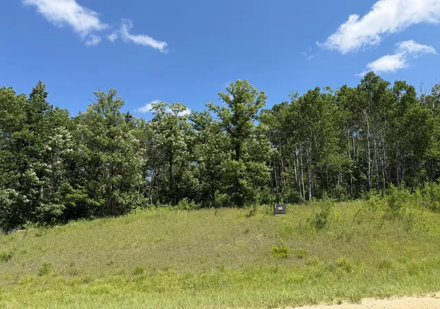 Photo 3 of Land for sale at Tbd County 95, Laporte, MN 56461 | MLS# 7104268 | Listing updated on 2026-08-25