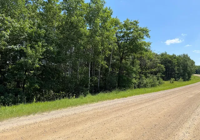 Photo 4 of Land for sale at Tbd County 95, Laporte, MN 56461 | MLS# 7104268 | Listing updated on 2026-08-25