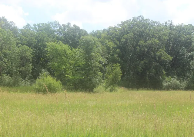 1st image of 14xxx Green Meadow Rd, Milaca, MN 56353 | MLS# 7104329