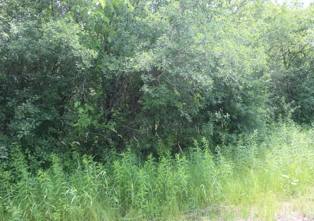 2nd image of 14xxx Green Meadow Rd, Milaca, MN 56353 | MLS# 7104329