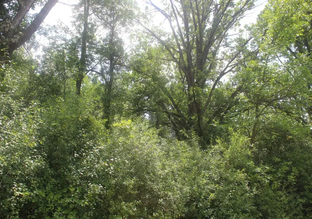 4th image of 14Xxx Green Meadow Rd, Milaca, MN 56353 | MLS# 7104329