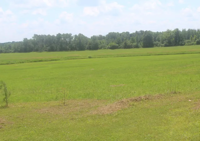 5th image of 14Xxx Green Meadow Rd, Milaca, MN 56353 | MLS# 7104329
