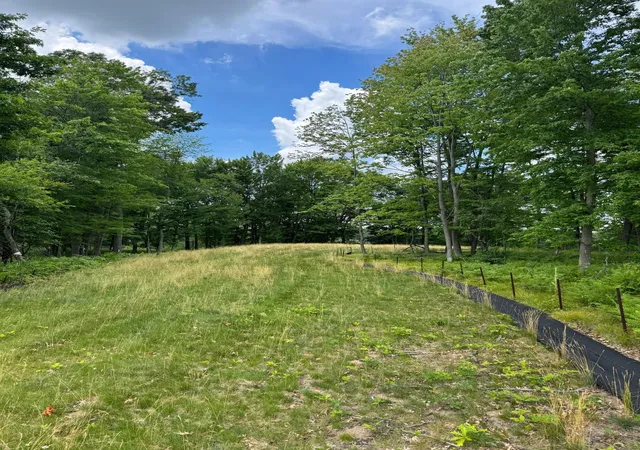 Photo 3 of Land for sale at 355 176th Lane Ne, Andover, MN 55304 | MLS# 7104461 | Listing updated on 2026-07-06