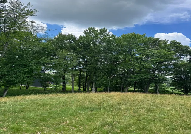 Photo 4 of Land for sale at 355 176th Lane NE, Andover, MN 55304 | MLS# 7104461 | Listing updated on 2026-07-06