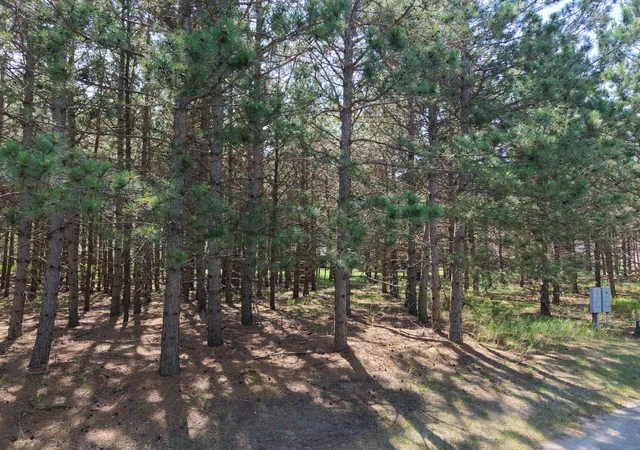Homes for sale in Park Rapids, MN | 1005 Ladyslipper, Unit 15 Ln, Park Rapids, MN 56470 | MLS# 7104573