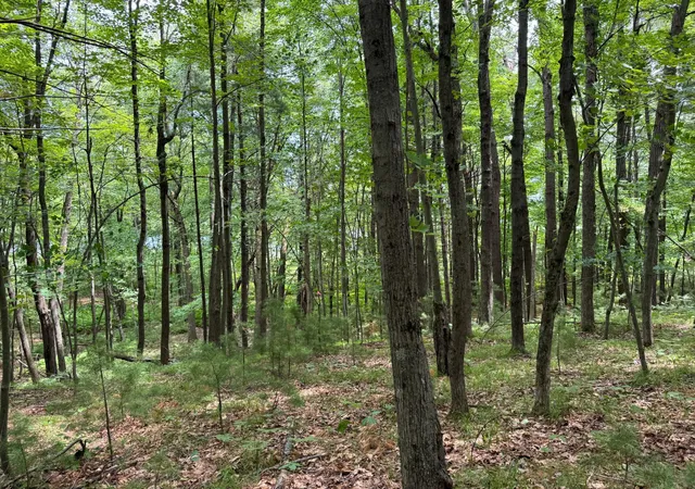 11th image of Tdb Garden Dr, Siren, WI 54872 | MLS# 7104965