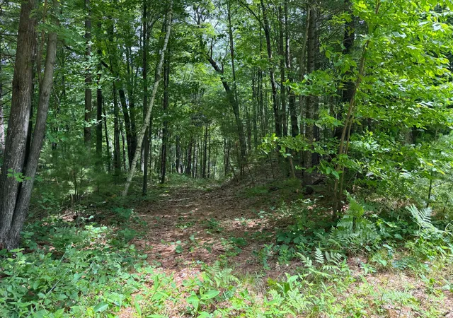 1st image of Tdb Garden Dr, Siren, WI 54872 | MLS# 7104965