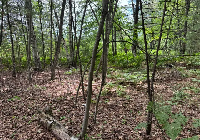 2nd image of Tdb Garden Dr, Siren, WI 54872 | MLS# 7104965