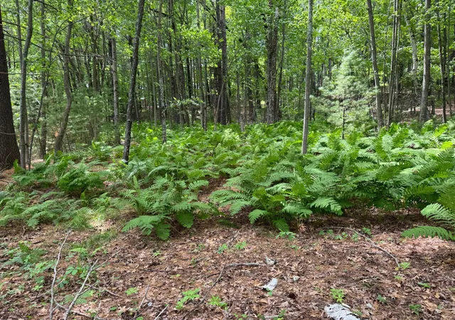 3rd image of Tdb Garden Dr, Siren, WI 54872 | MLS# 7104965