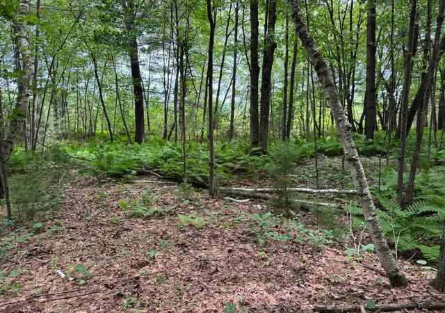 4th image of Tdb Garden Dr, Siren, WI 54872 | MLS# 7104965