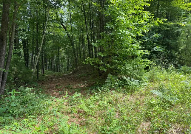 5th image of Tdb Garden Dr, Siren, WI 54872 | MLS# 7104965