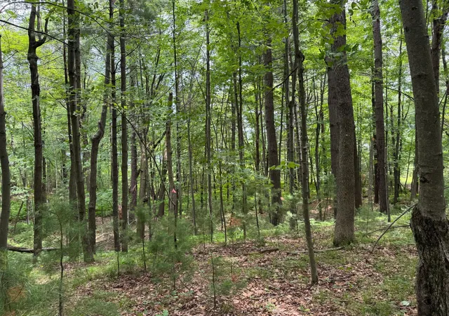 1st image of Tbd Garden Dr, Siren, WI 54872 | MLS# 7104970