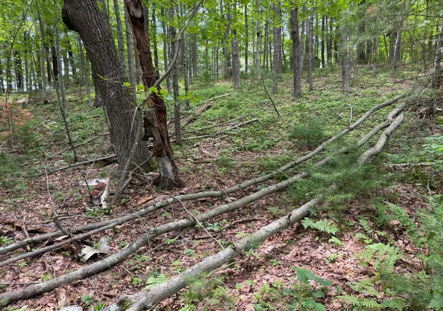 2nd image of Tbd Garden Dr, Siren, WI 54872 | MLS# 7104970
