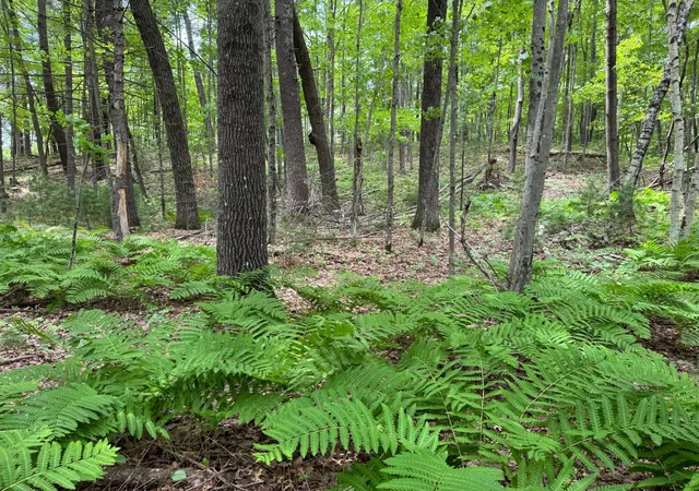 3rd image of Tbd Garden Dr, Siren, WI 54872 | MLS# 7104970