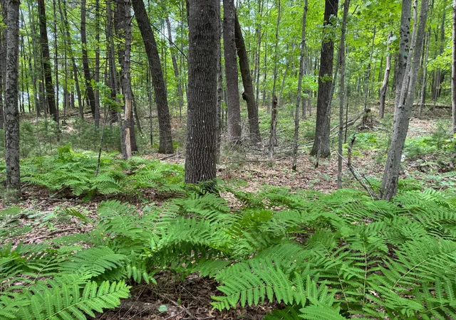 4th image of Tbd Garden Dr, Siren, WI 54872 | MLS# 7104970