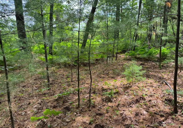 5th image of Tbd Garden Dr, Siren, WI 54872 | MLS# 7104970