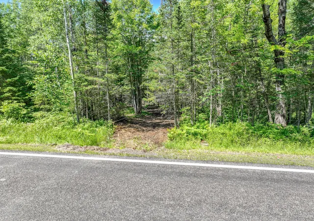 Photo 4 of Land for sale at 56xb Highway 7, Culver, MN 55779 | MLS# 7105174 | Listing updated on 2026-07-17