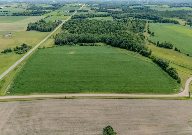 Photo 3 of Land for sale at Tbd Cardinal Rd, Swanville, MN 56382 | MLS# 7105185 | Listing updated on 2026-09-16