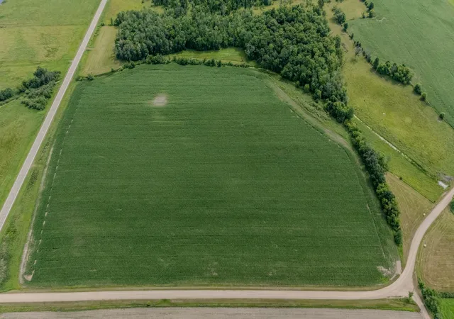 Homes for sale in Swanville, MN | Tbd Cardinal Rd, Swanville, MN 56382 | MLS# 7105185