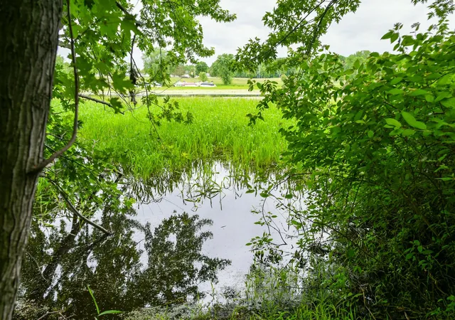 10th image of 19231 Highwood Shores Rd, Pine City, MN 55063 | MLS# 7105191