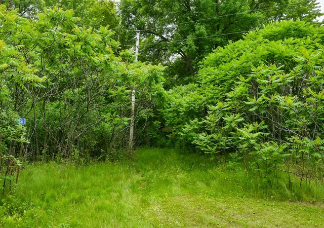 1st image of 19231 Highwood Shores Rd, Pine City, MN 55063 | MLS# 7105191