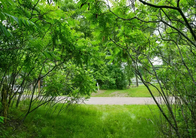 2nd image of 19231 Highwood Shores Rd, Pine City, MN 55063 | MLS# 7105191
