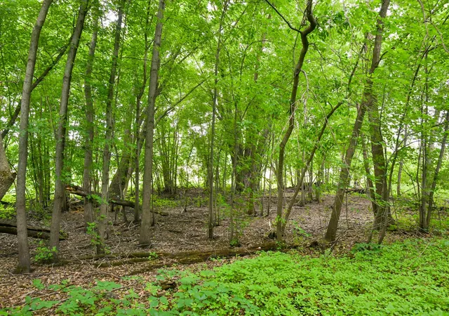 3rd image of 19231 Highwood Shores Rd, Pine City, MN 55063 | MLS# 7105191