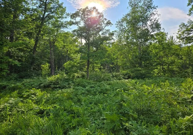 2nd image of Tbd State 84 Ne, Longville, MN 56655 | MLS# 7105197