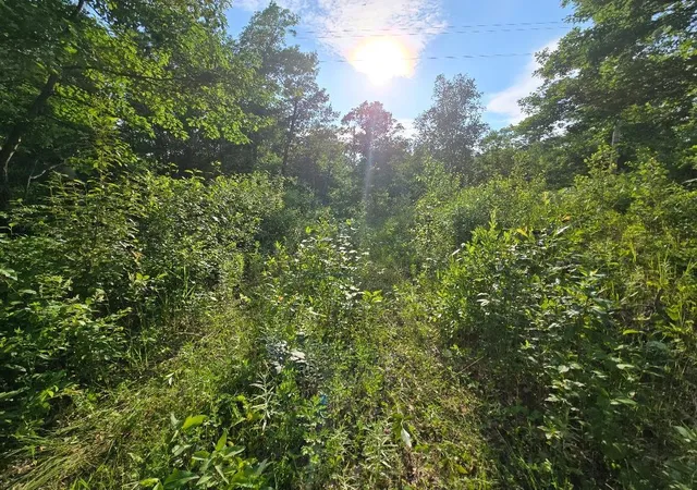 Photo 4 of Land for sale at Tbd State 84 NE, Longville, MN 56655 | MLS# 7105197 | Listing updated on 2026-07-07