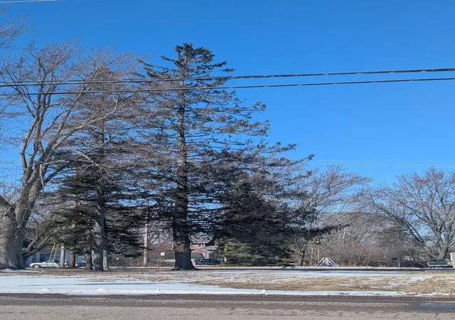 3rd image of 6348 H C Andersen Alle, Askov, MN 55704 | MLS# 7105226