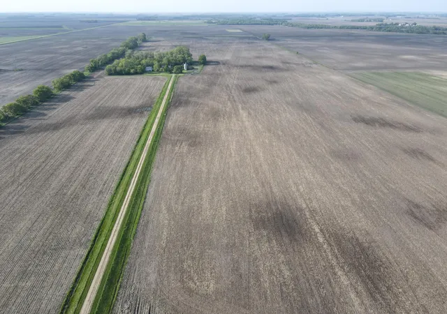 Photo 3 of Land for sale at Tbd 90th Street, Benson, MN 56215 | MLS# 7105327 | Listing updated on 2026-07-17