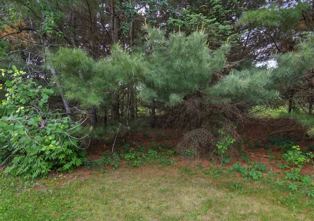 Photo 36 of Land for sale at Lot 5 660th Avenue, Elk Mound, WI 54739 | MLS# 7105328 | Listing updated on 2026-07-07