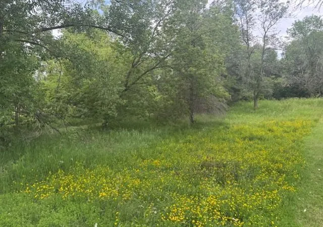 2nd image of Lot 4, Block 4 Circle Dr Nw, Alexandria, MN 56308 | MLS# 7105343