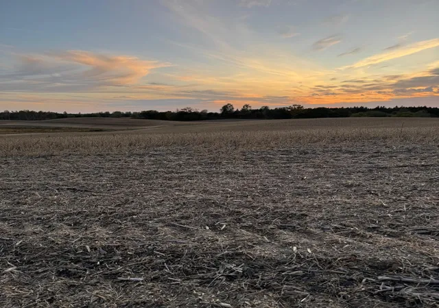 Photo 3 of Land for sale at Tbd Placid Dr, Dent, MN 56528 | MLS# 7105383 | Listing updated on 2026-07-07